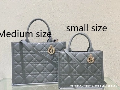 Tony Luxuries TOTE-26.5*21*14CM diro BOOK SMALL 0721